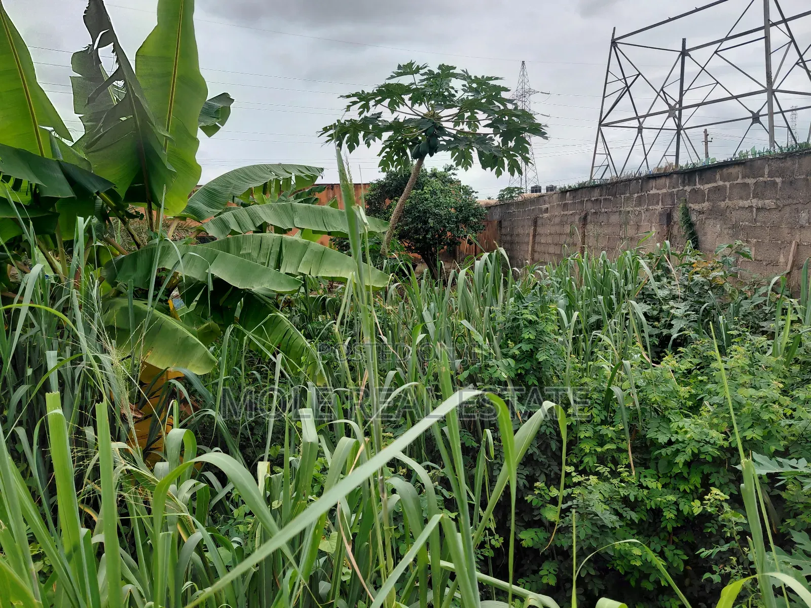 Half Plot of Land Dwarf Fenced New Ijegun Ijegemo High Way