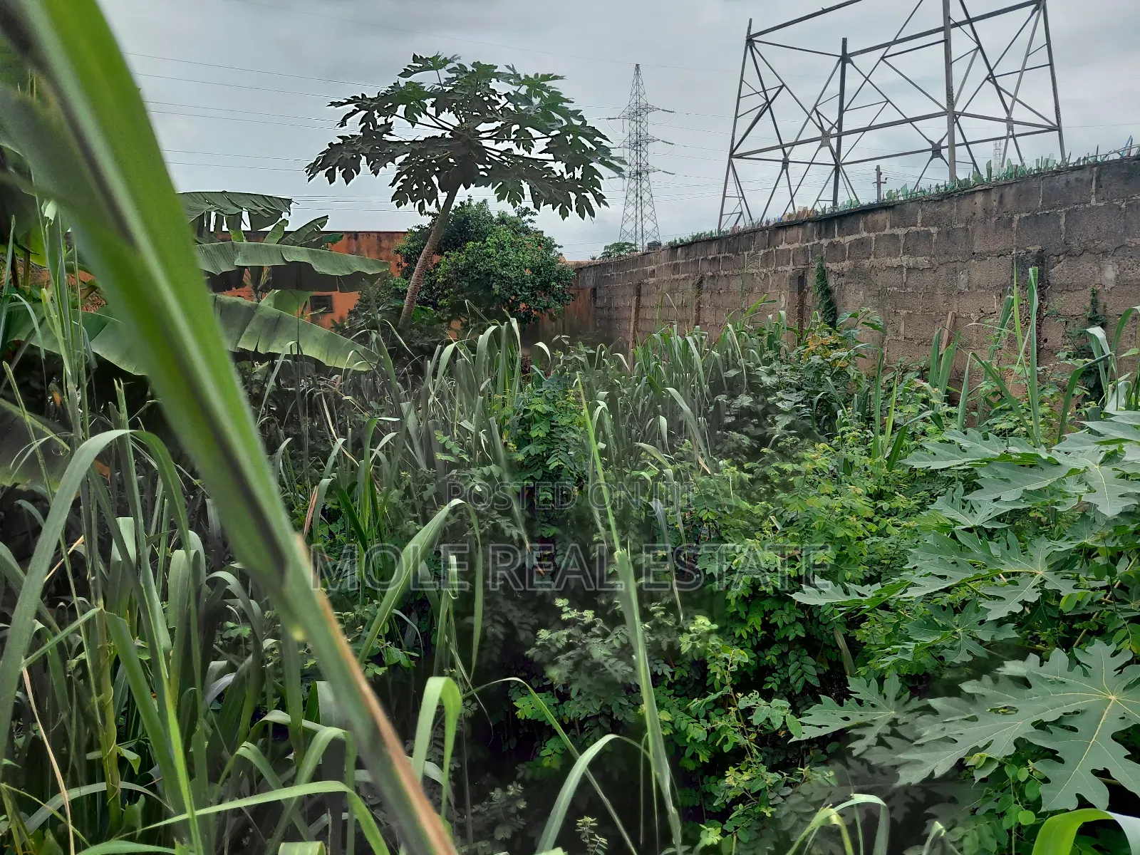 Half Plot of Land Dwarf Fenced New Ijegun Ijegemo High Way
