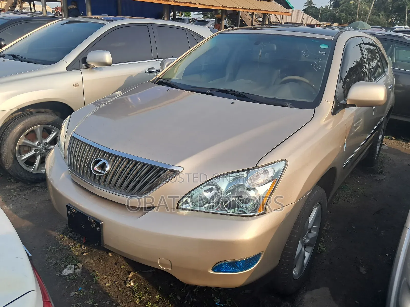 Lexus RX 330 AWD 2006 Gold