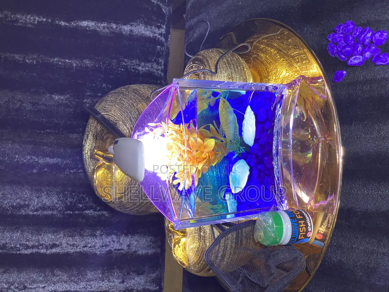 Tabletop Aquarium Bowl Complete Setup