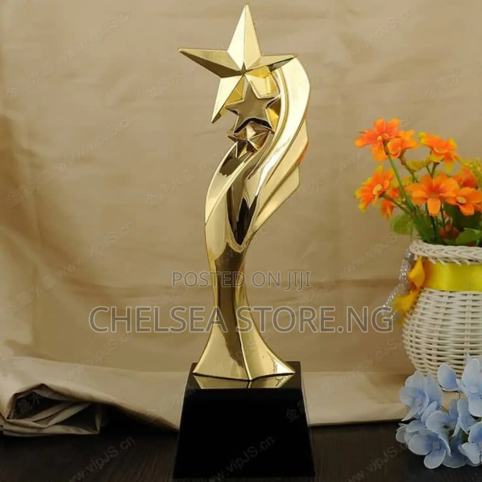 Trophies With Amazing Styles Dag12