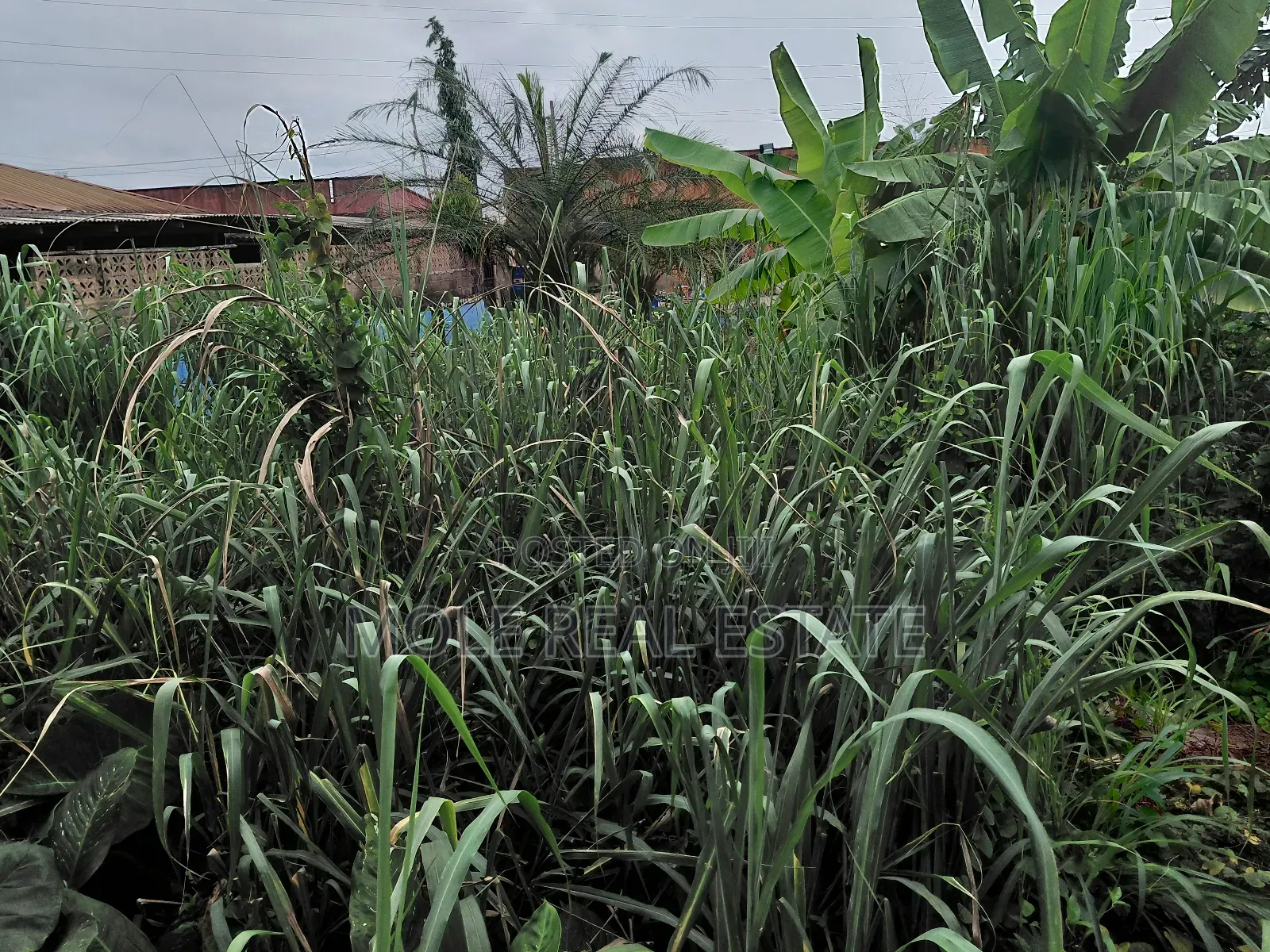 600sqm Plot 4 Sale Adeniyi Jones Ikeja