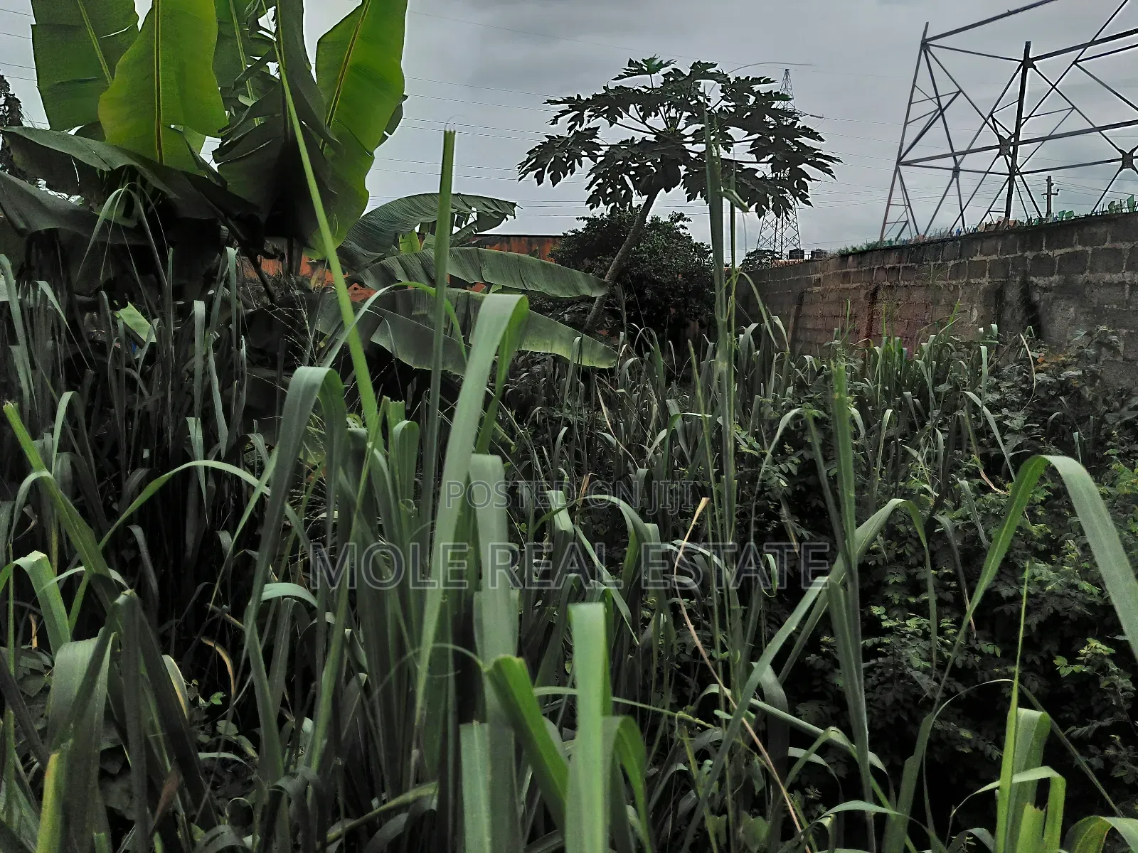 6 Plots Land 4 Sale at Shasha, Egbeda Alimosho