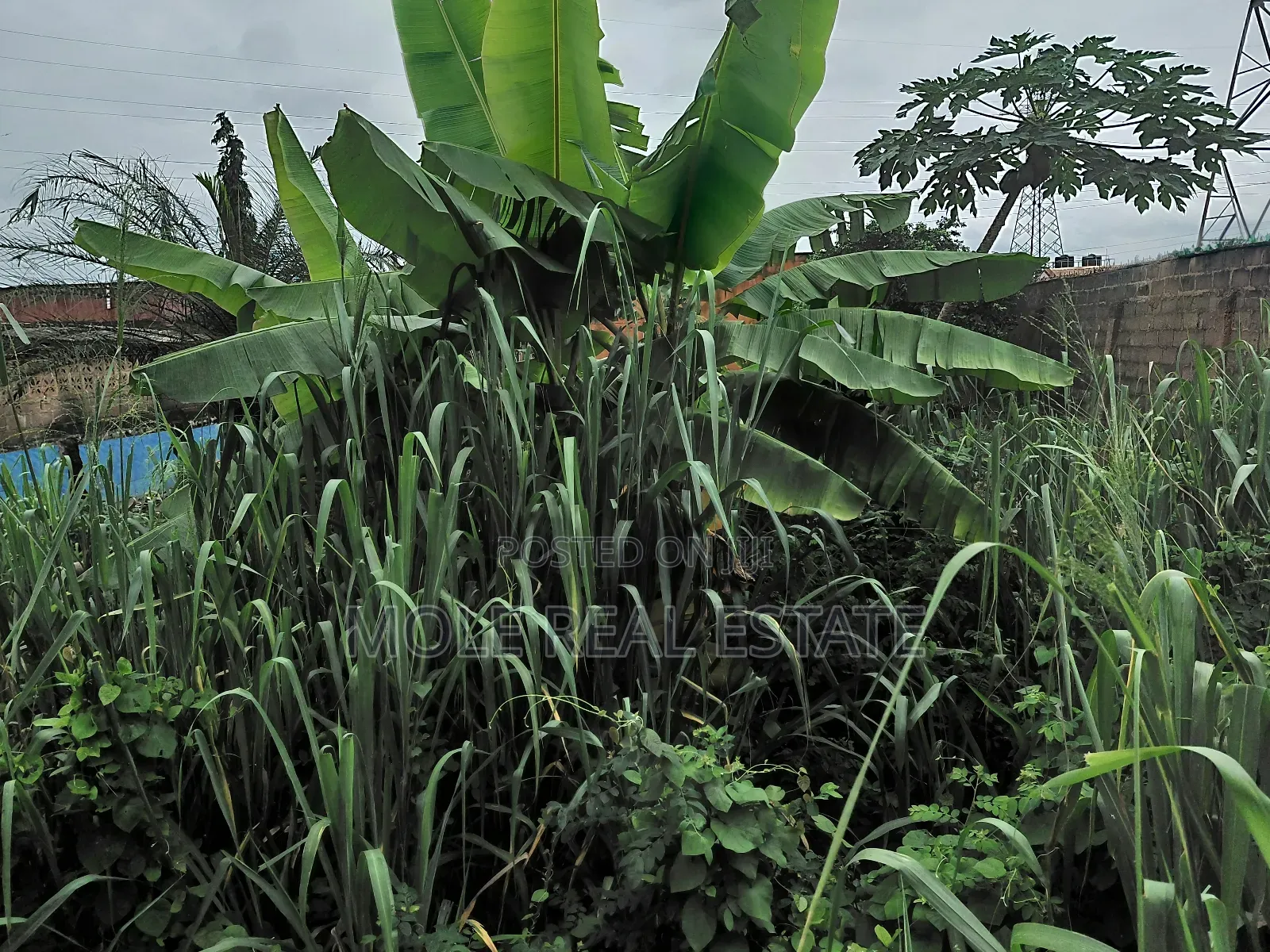 6 Plots Land 4 Sale at Shasha, Egbeda Alimosho