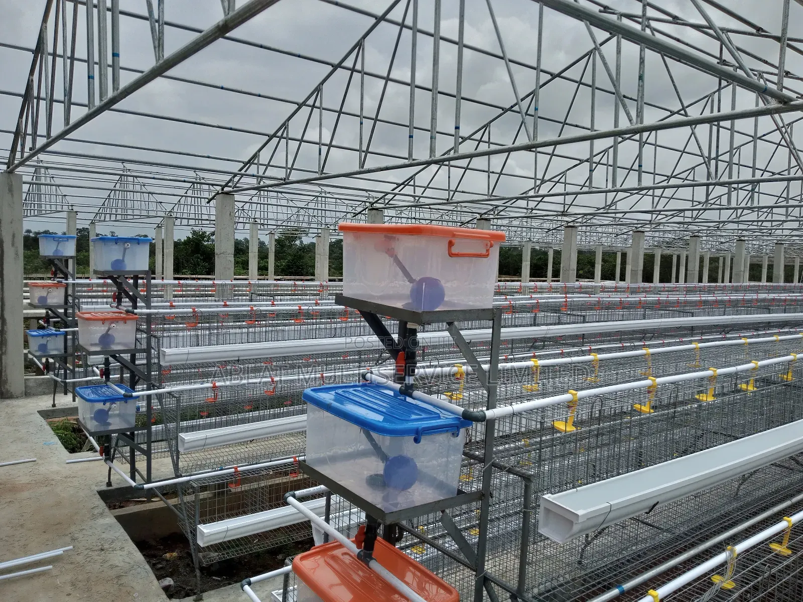 High Quality Battery Cage for Farmers