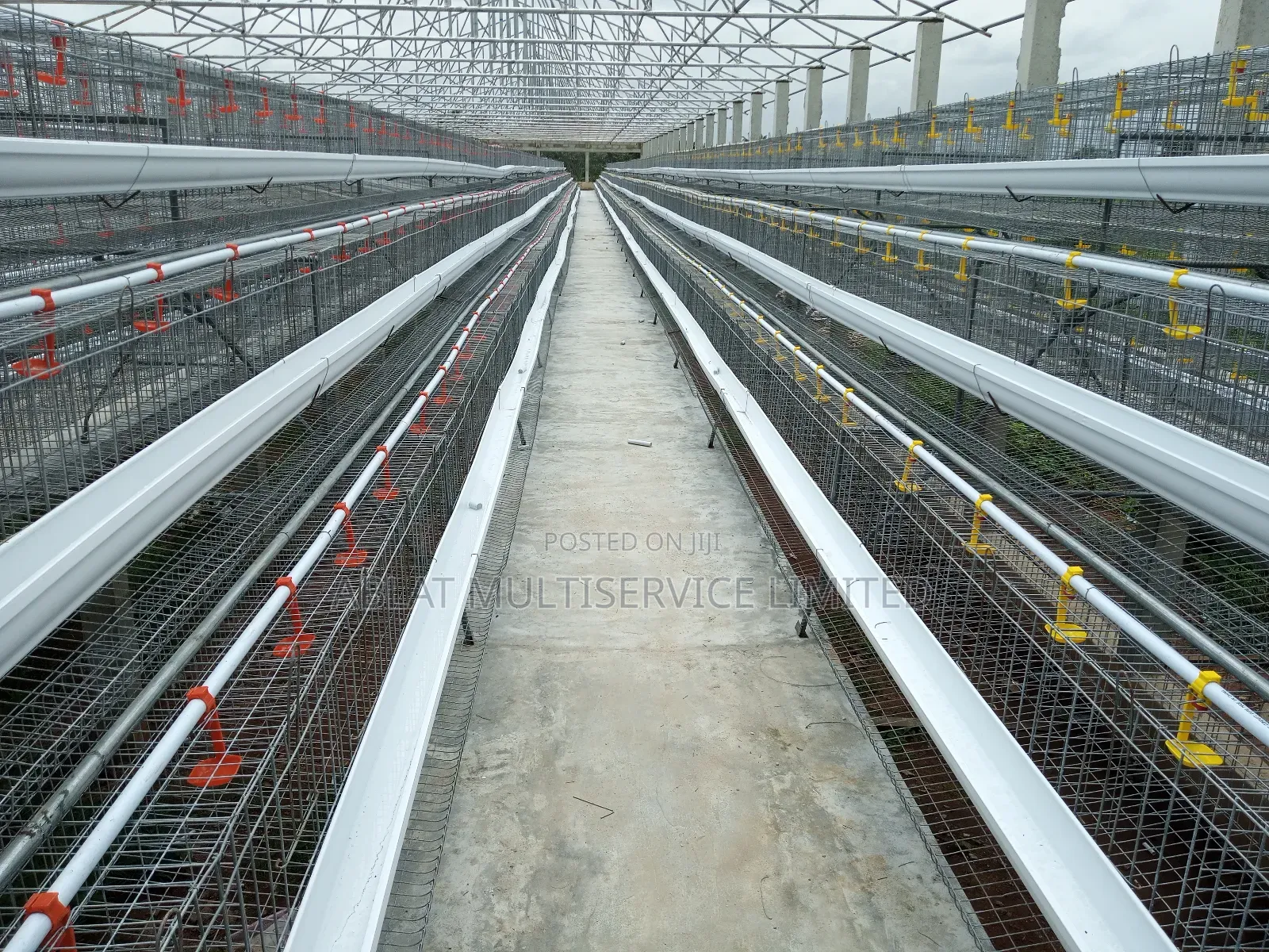 High Quality Battery Cage for Farmers