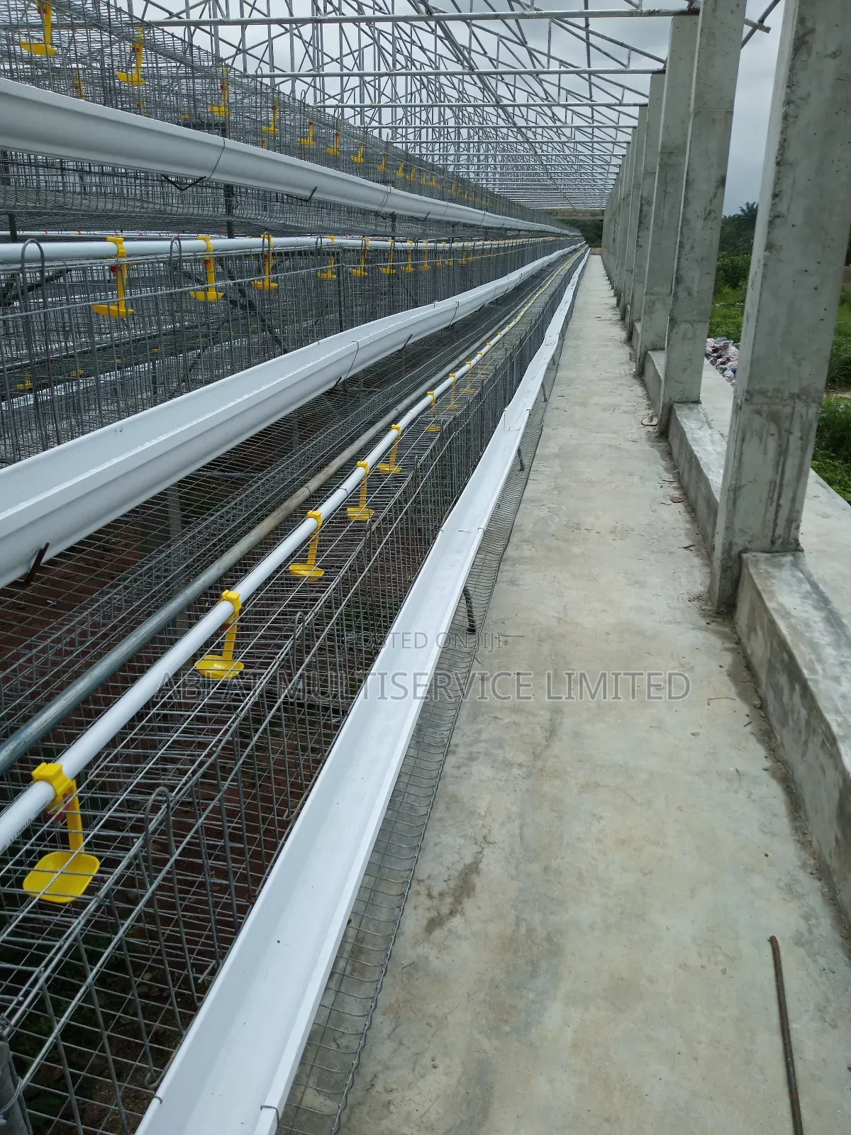 High Quality Battery Cage for Farmers
