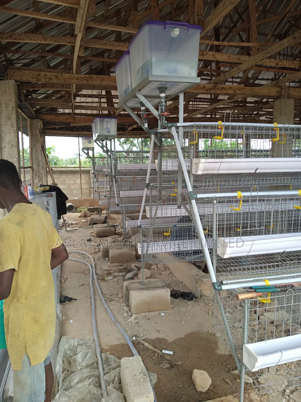 High Quality Battery Cage for Farmers
