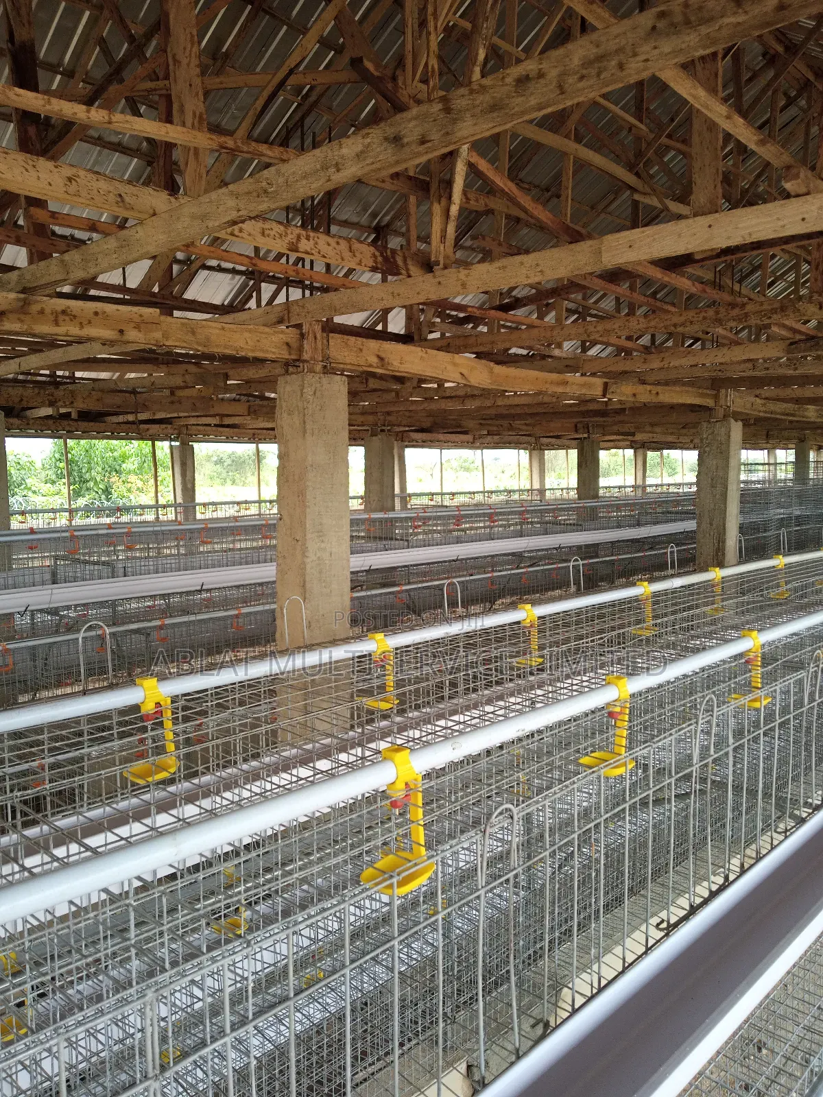 Poultry Cage Solution for Your Farm