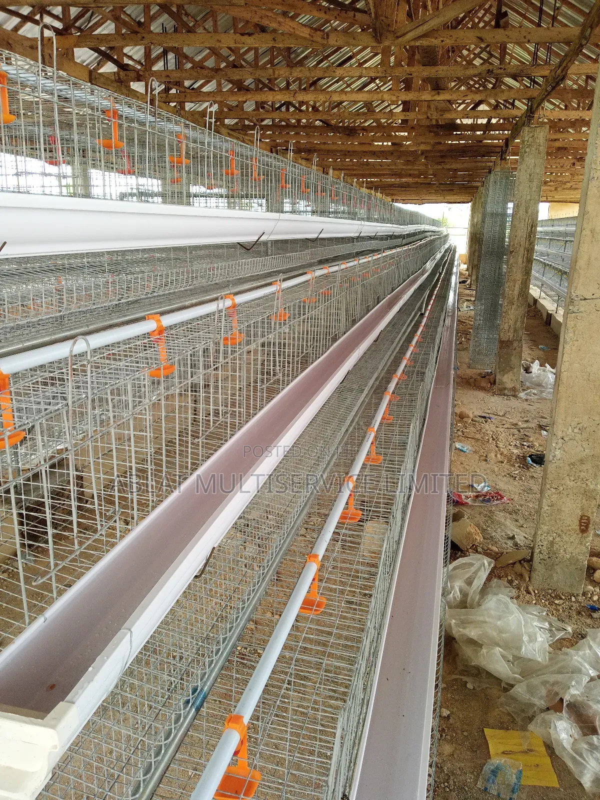 Poultry Cage Solution for Your Farm