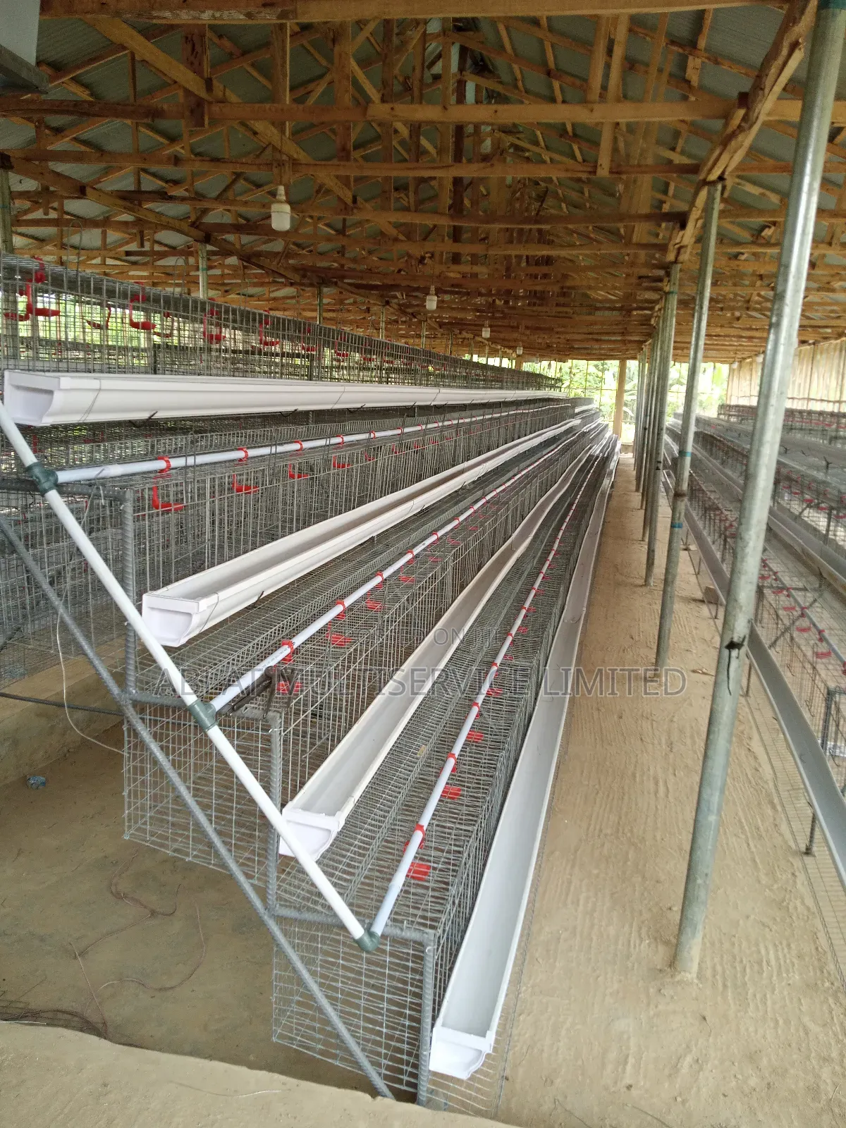 Poultry Cage Solution for Your Farm