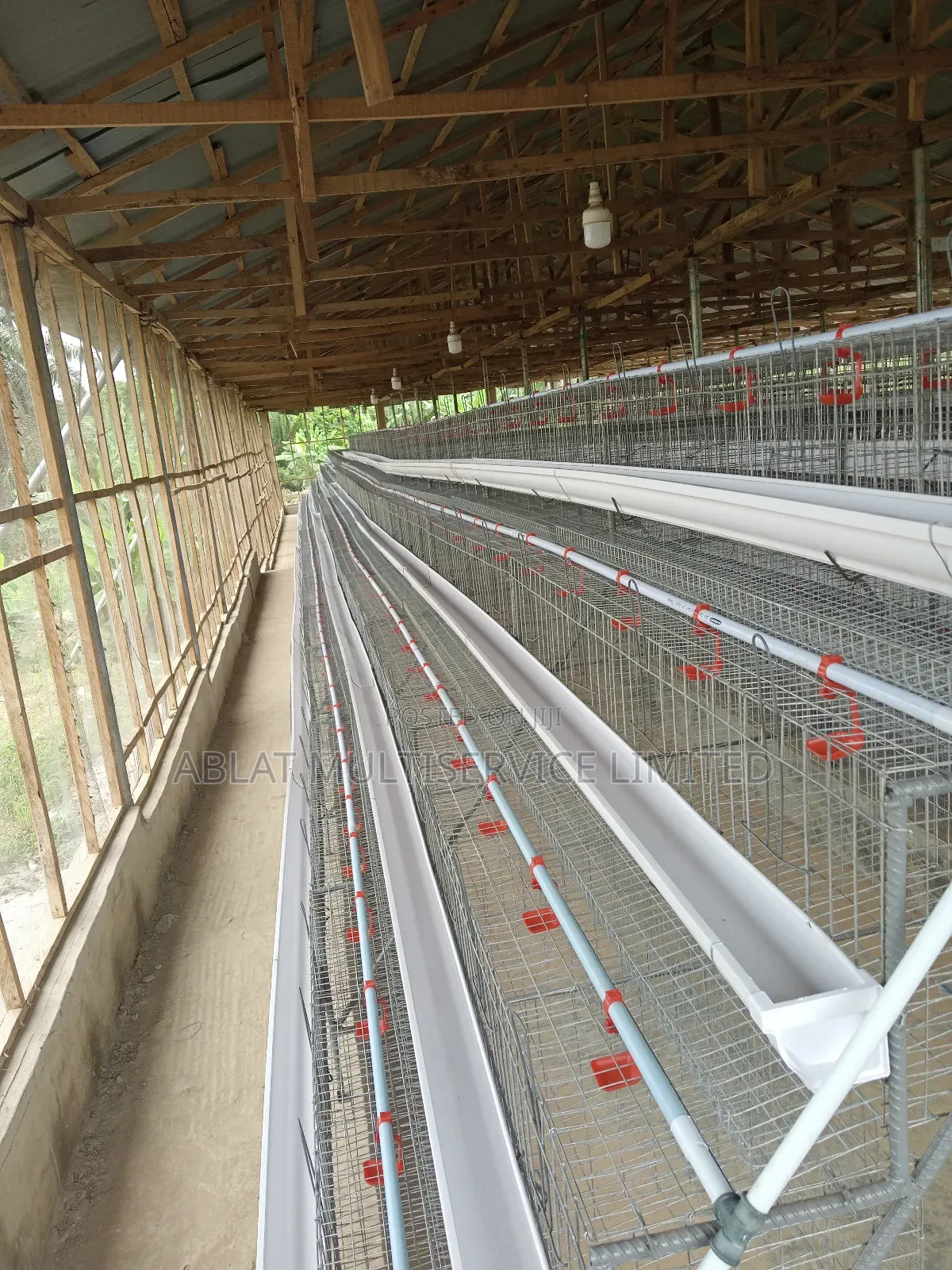 Poultry Cage Solution for Your Farm