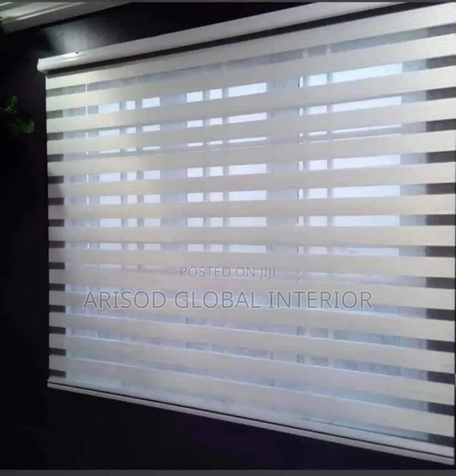 Vibrant Cozy Blinds