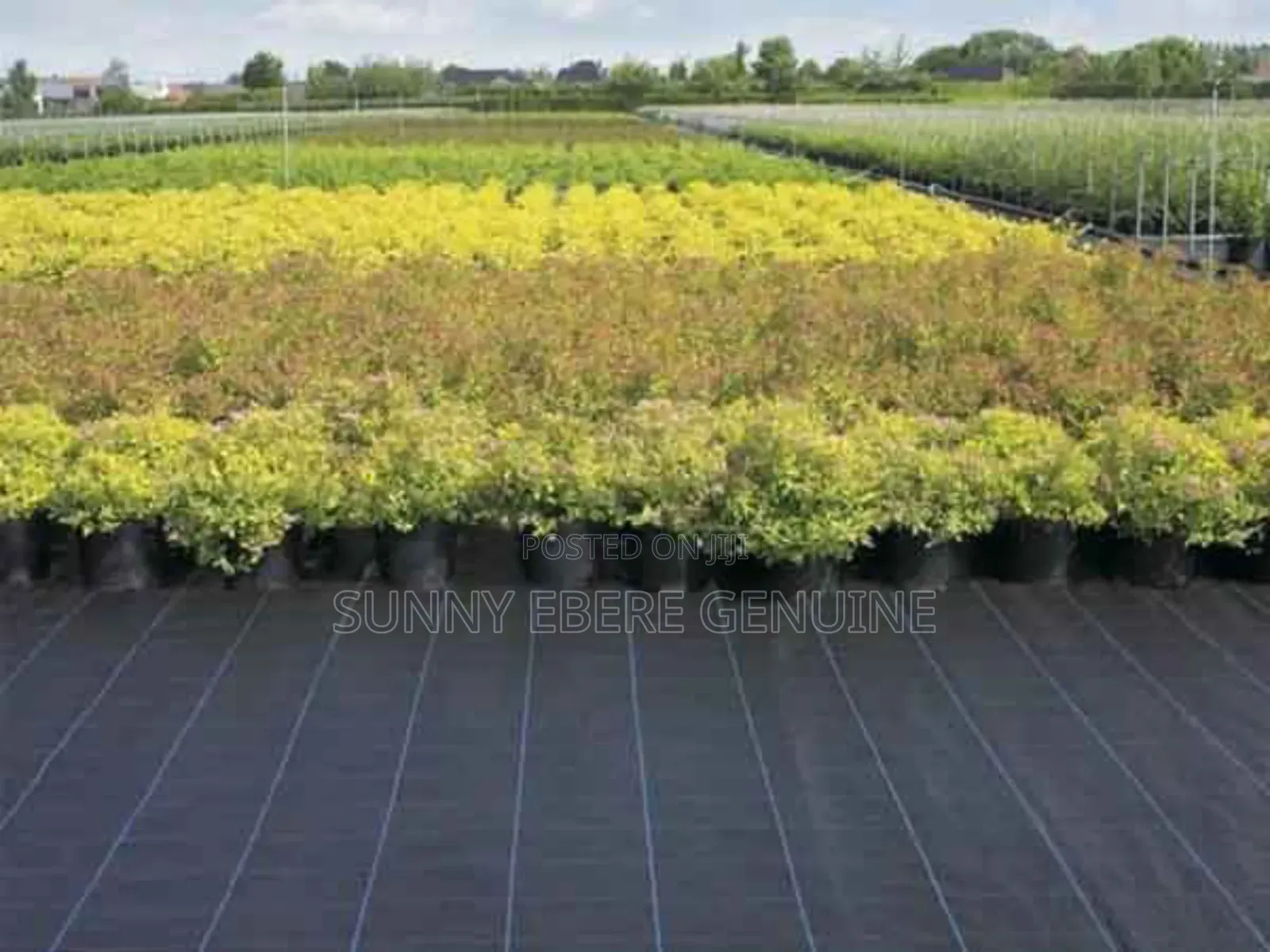 Gardening Ground Cloth