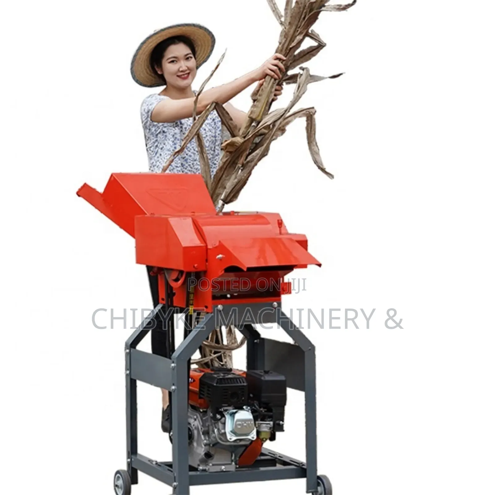 Chaff Cutter Machines