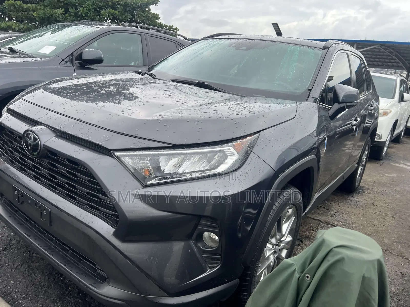 Toyota RAV4 Limited AWD 2020 Gray