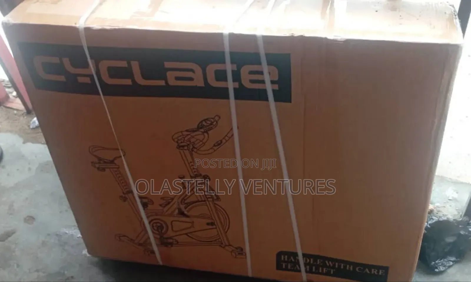 Cyclace Enhanced Exercise Bike (Biggest)