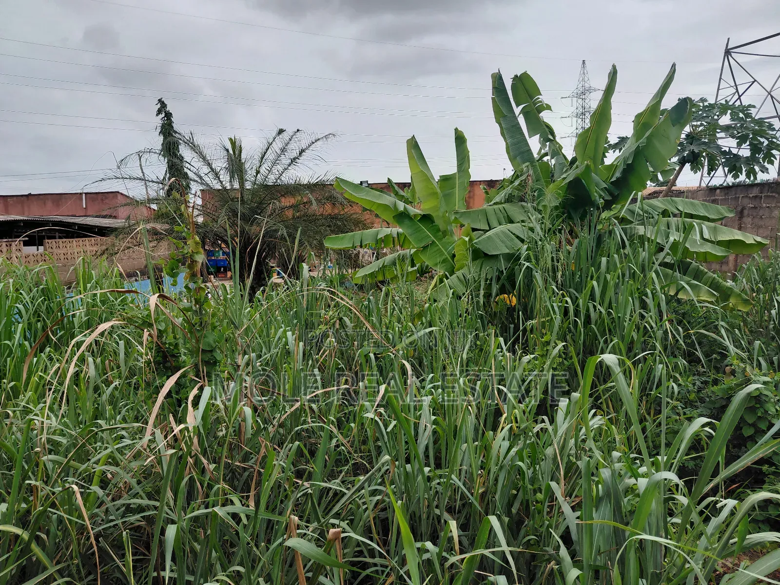 Half Plot of Land Opic Estate Close to Road