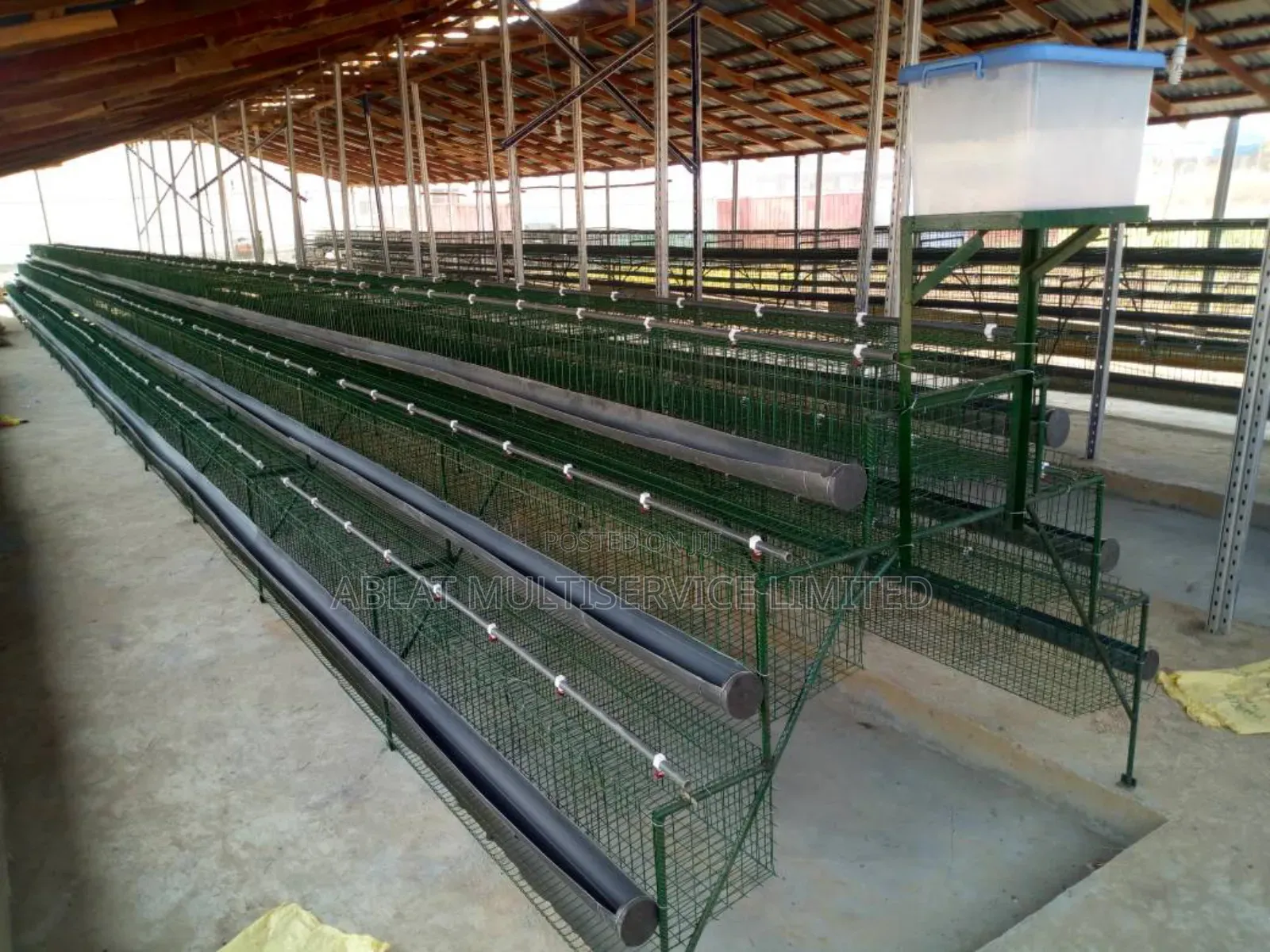 Poultry Cage Solution for Your Farm