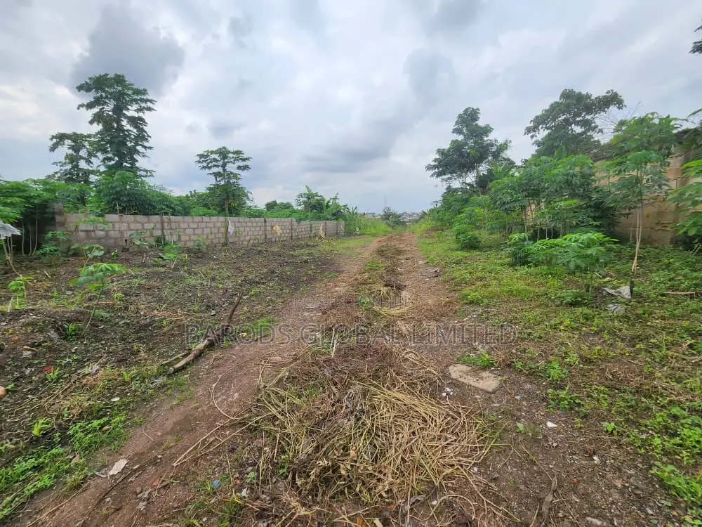 Fenced Land Plots for Sale- Perfect for Home or Business