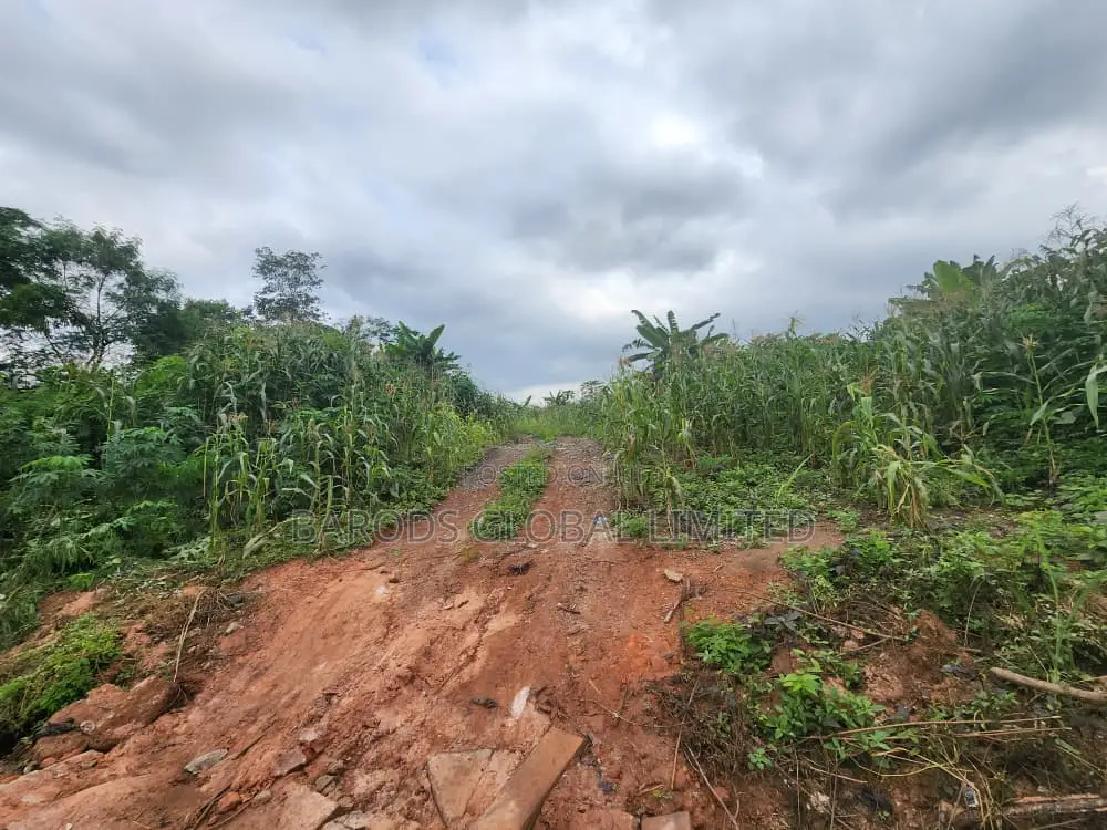 Fenced Land Plots for Sale- Perfect for Home or Business