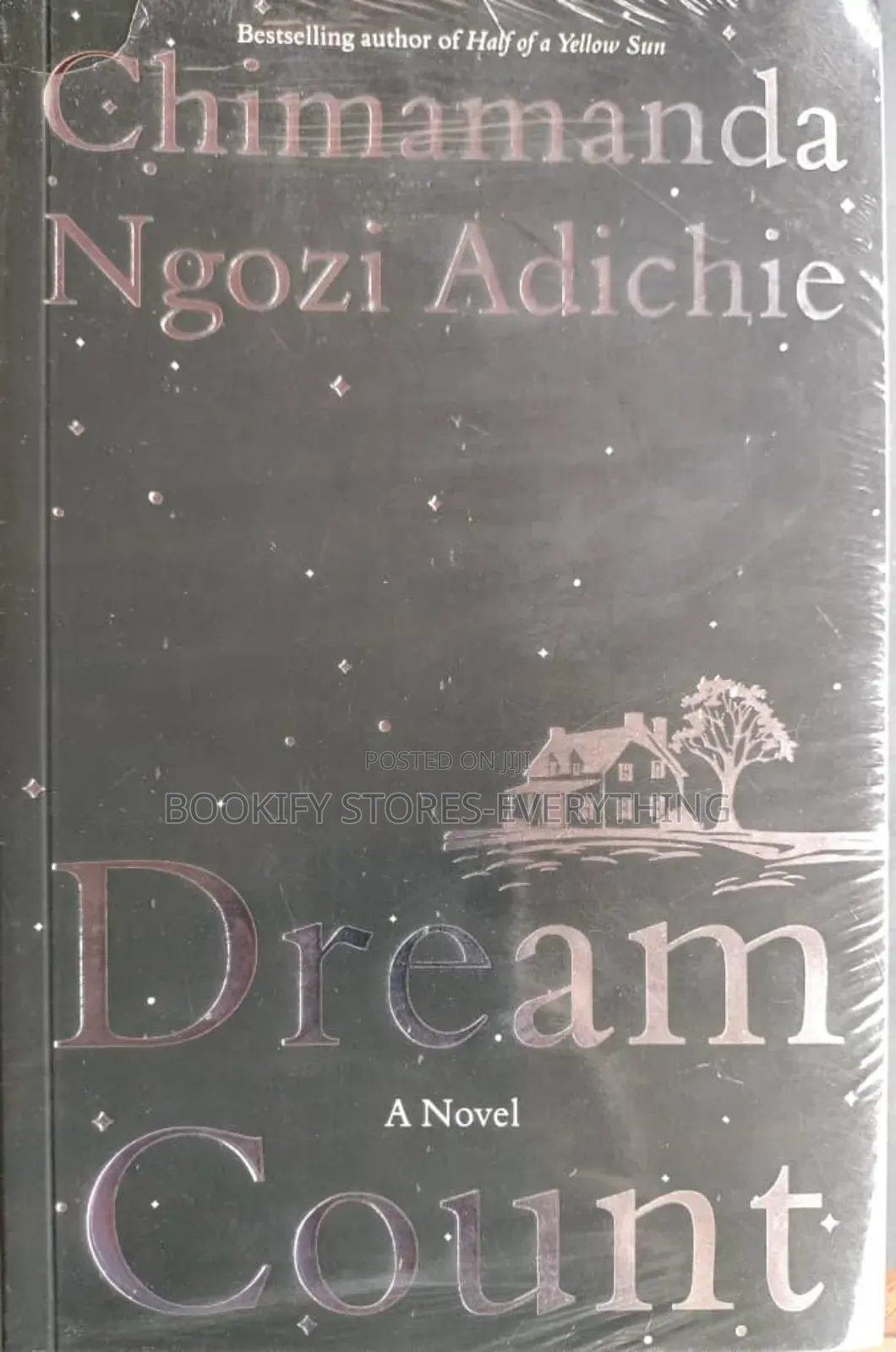 Dream Count : A Novel