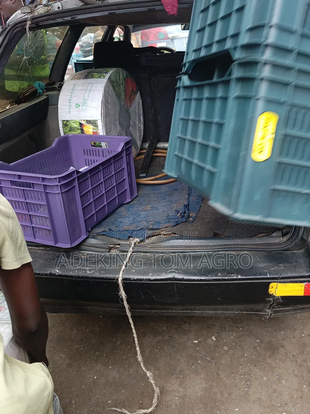 Tomatoes Harvest Crate
