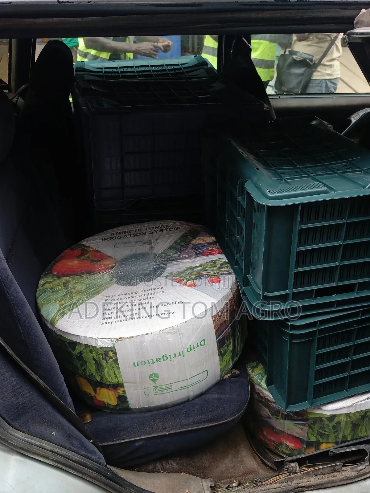 Tomatoes Harvest Crate