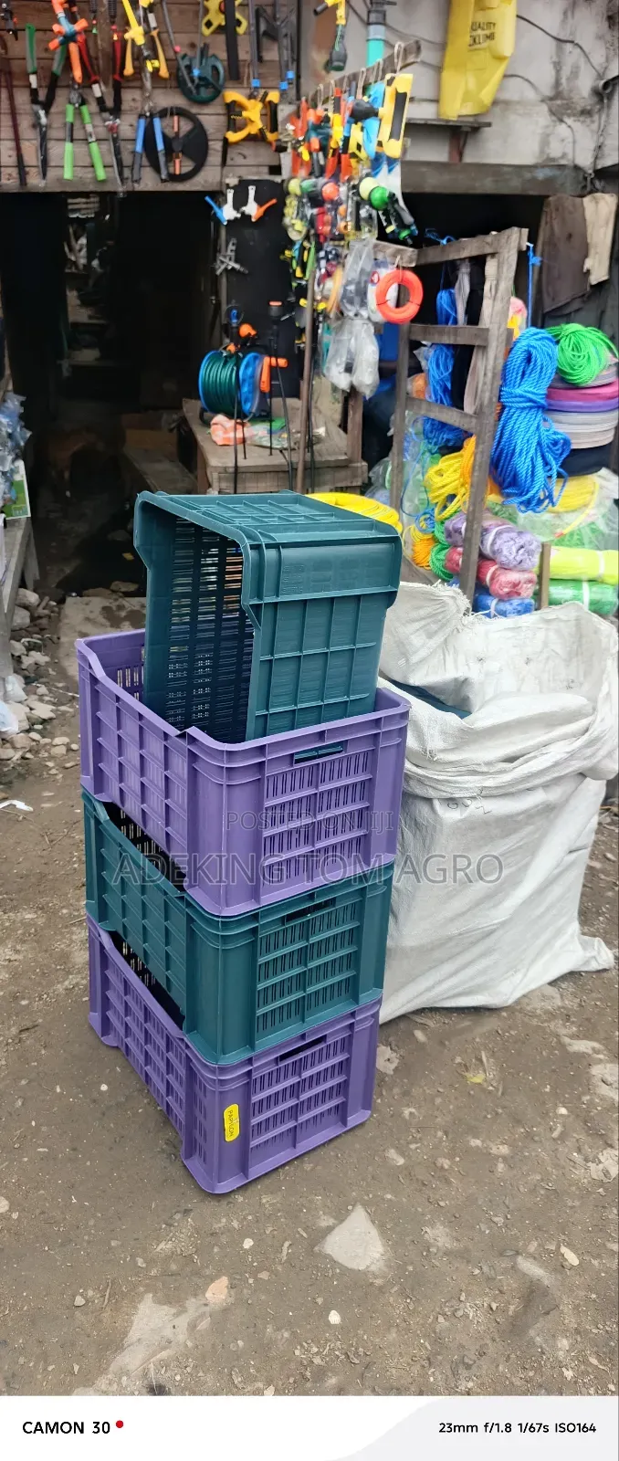 Tomatoes Harvest Crate