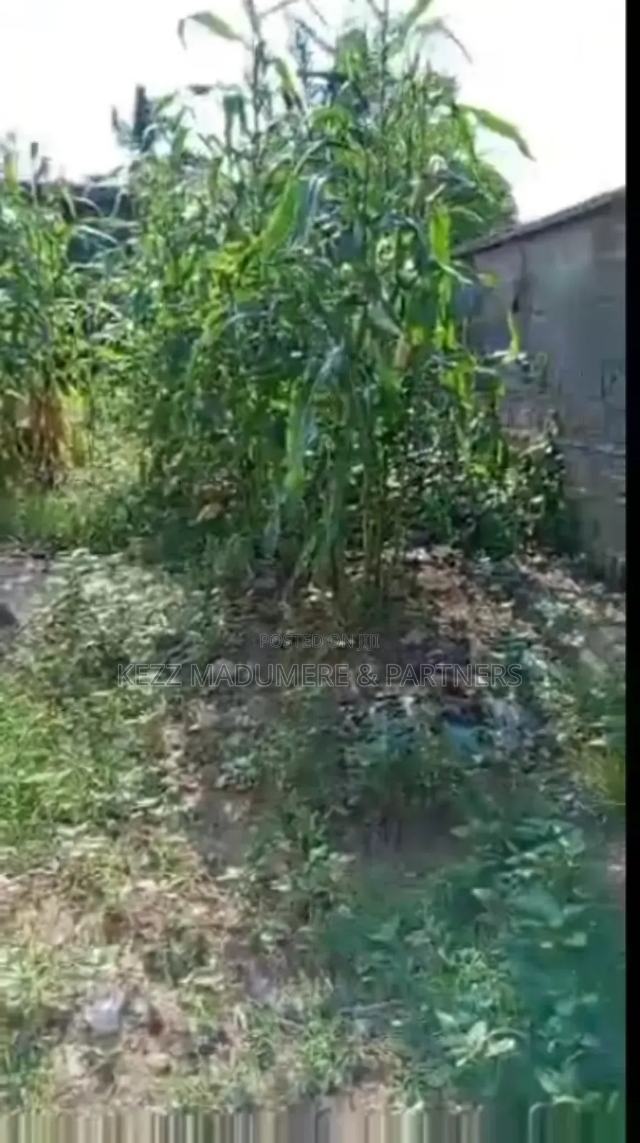 For Sale : One (1) Plot of Land at Radio Estate Nta Road Ph
