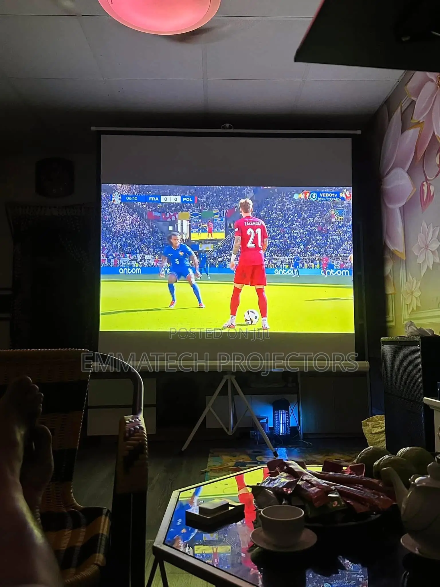 Brand New Epson  Daylight Projector  S41