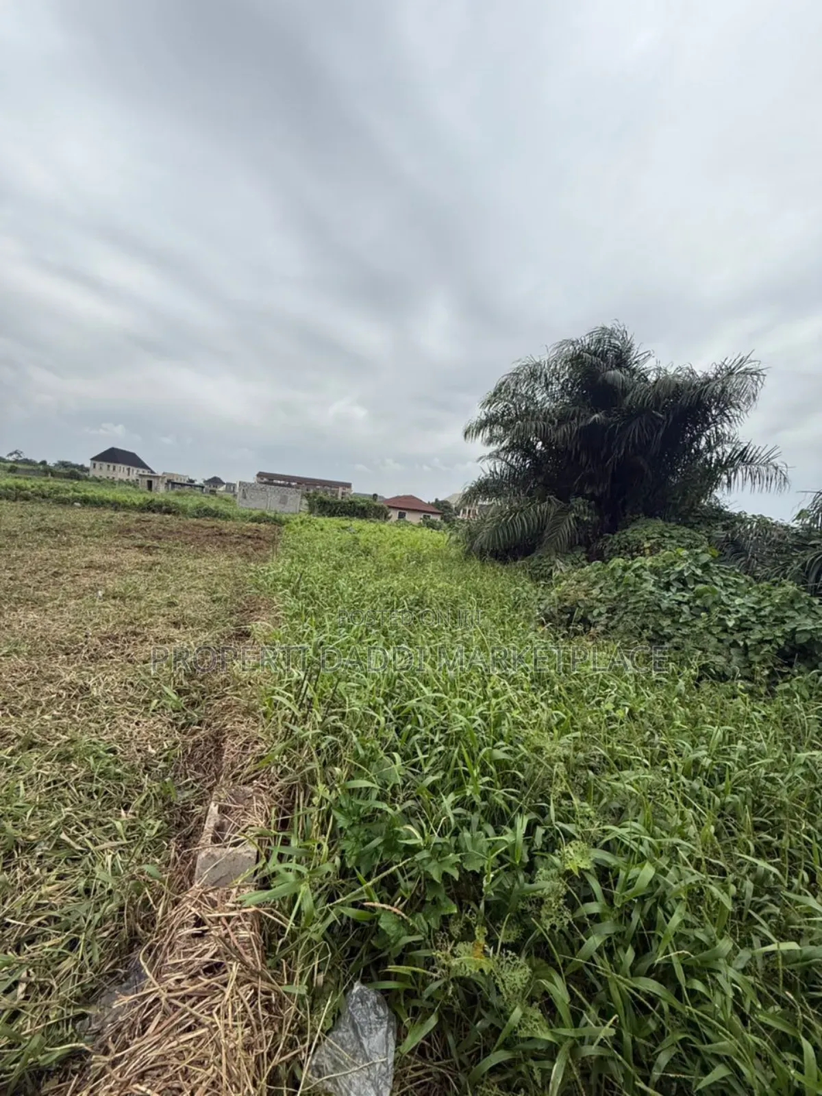 Distressed 2 Plots of Land for Sale