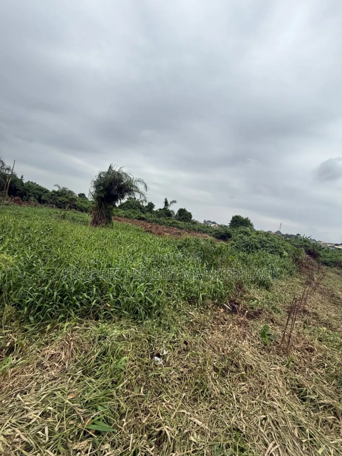 Distressed 2 Plots of Land for Sale