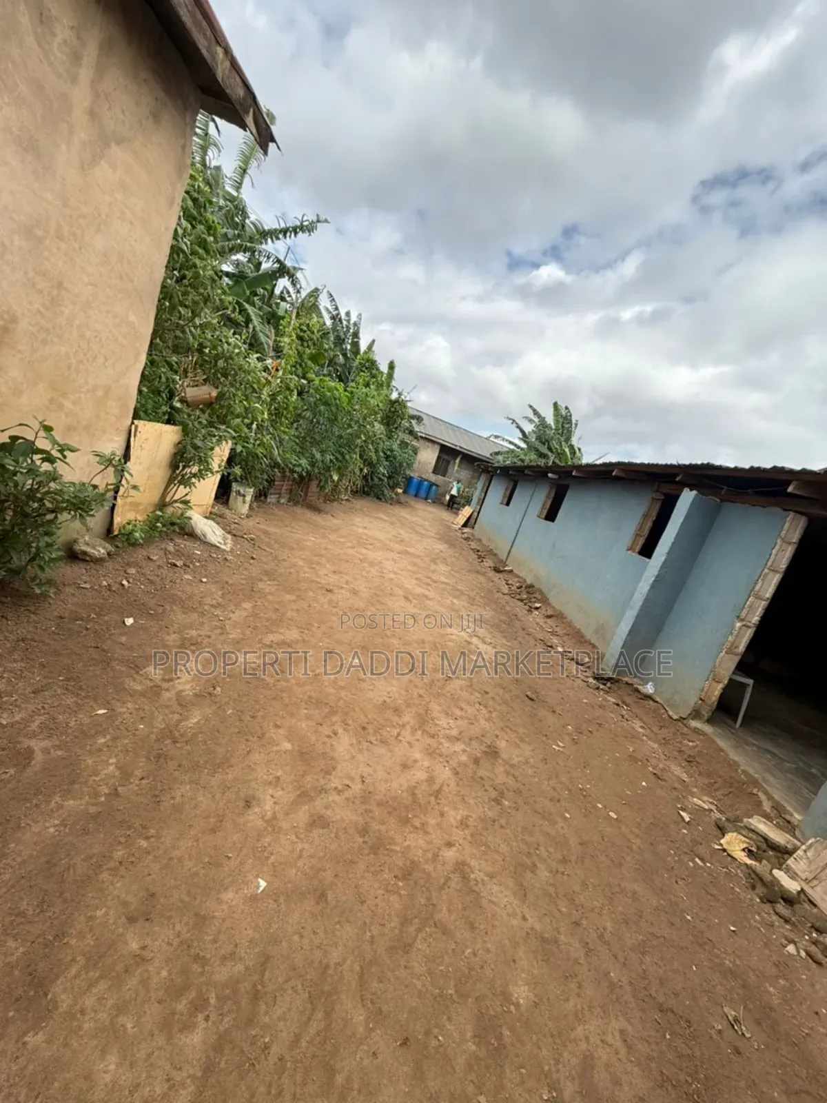 Full Plot of Land for Sale All Round Fence and Gated