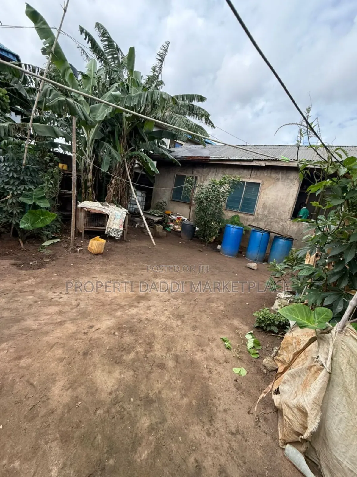 Full Plot of Land for Sale All Round Fence and Gated