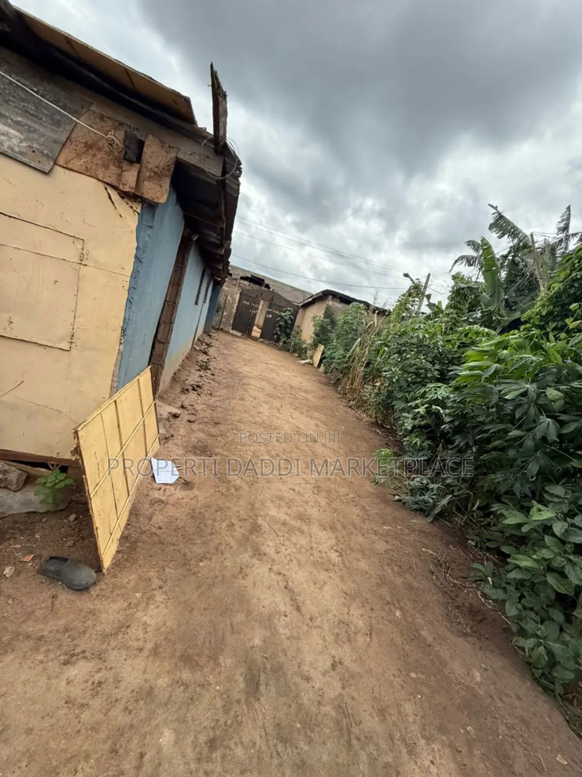Full Plot of Land for Sale All Round Fence and Gated