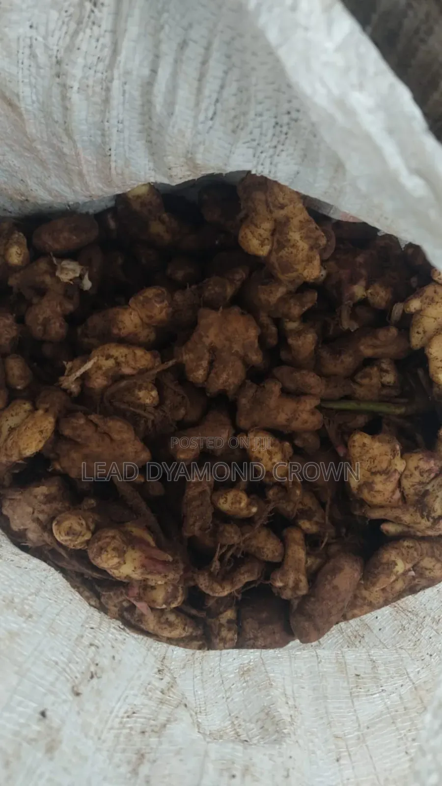 Dried Splits Ginger