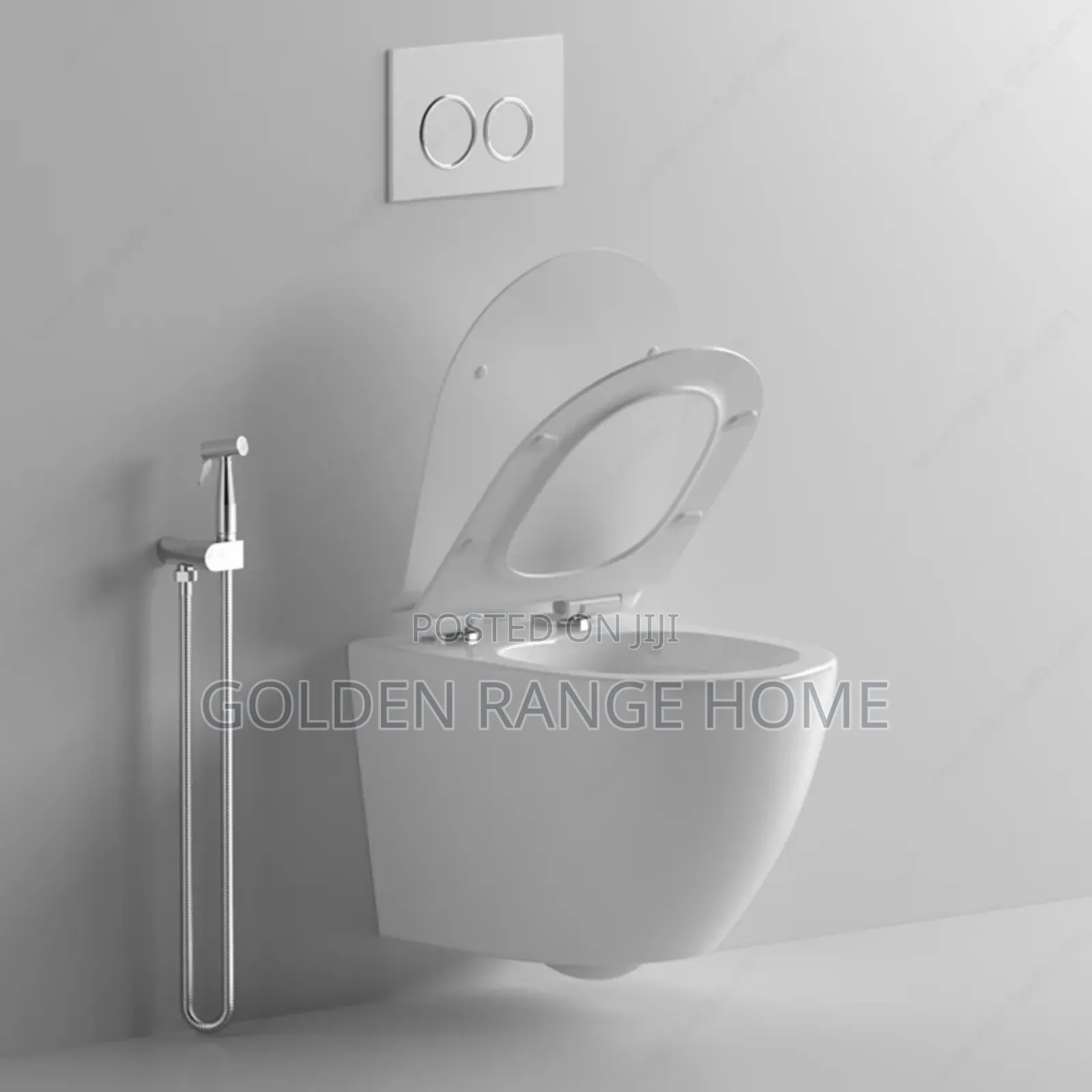 Concealed Cistern Watercloset(White)