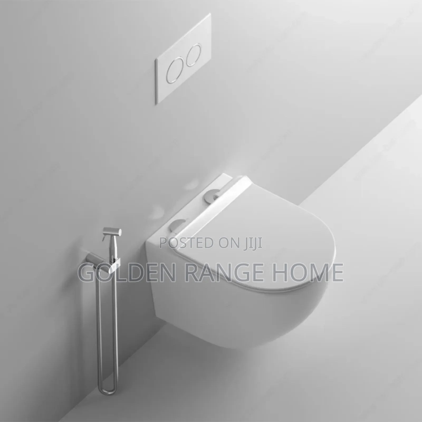 Concealed Cistern Watercloset(White)