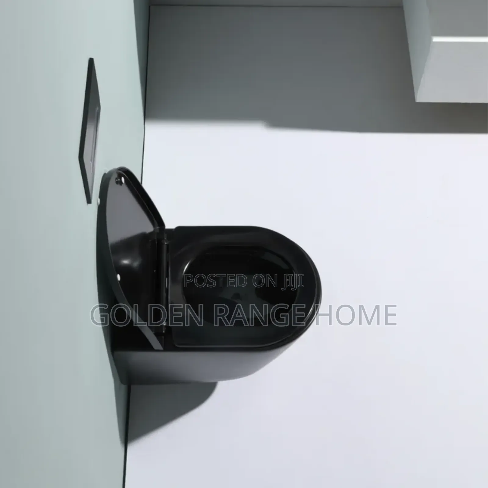 Matt Black Conceal/Hanging Watercloset