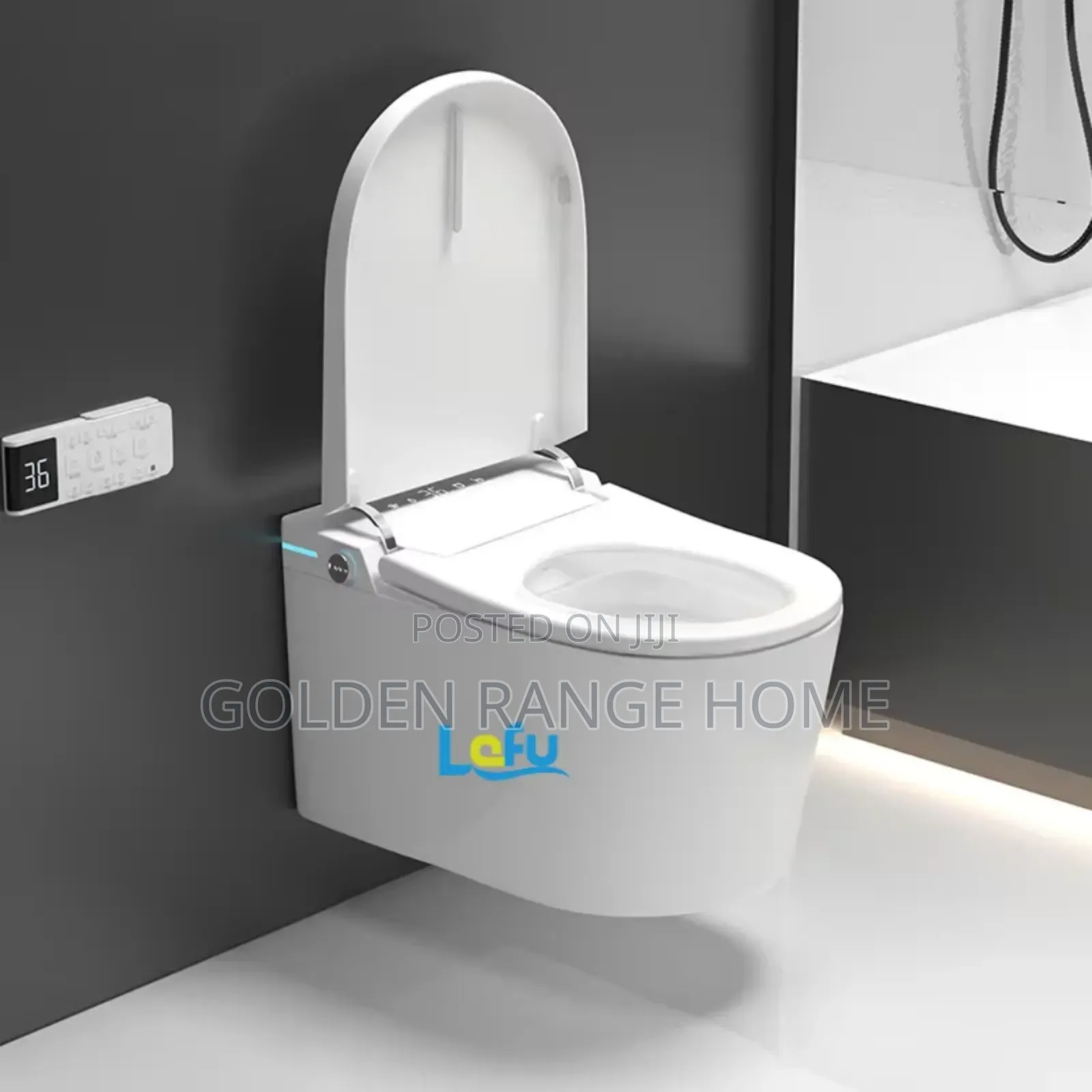 Conceal Intelligent (Sensor) Watercloset