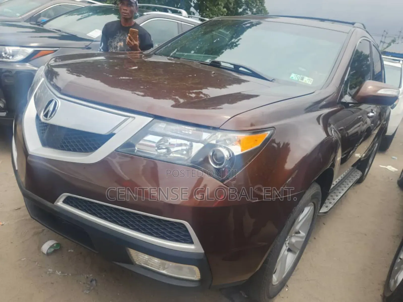 Acura MDX 2010 Brown