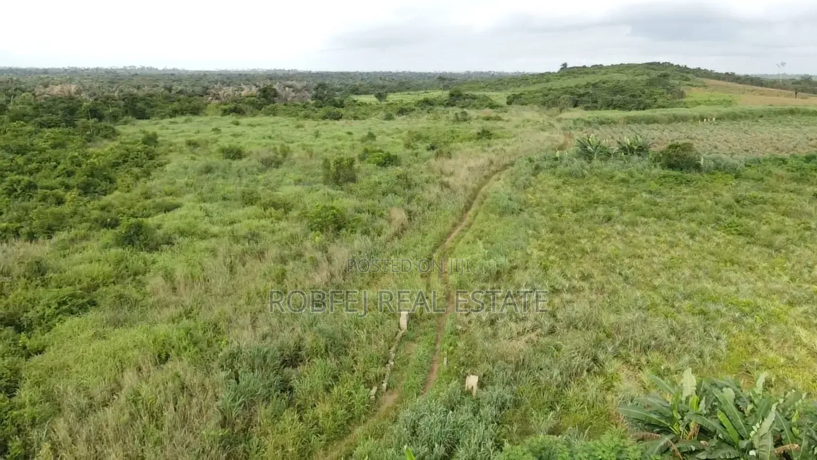 Juicy Offer 6 Acres Of Land