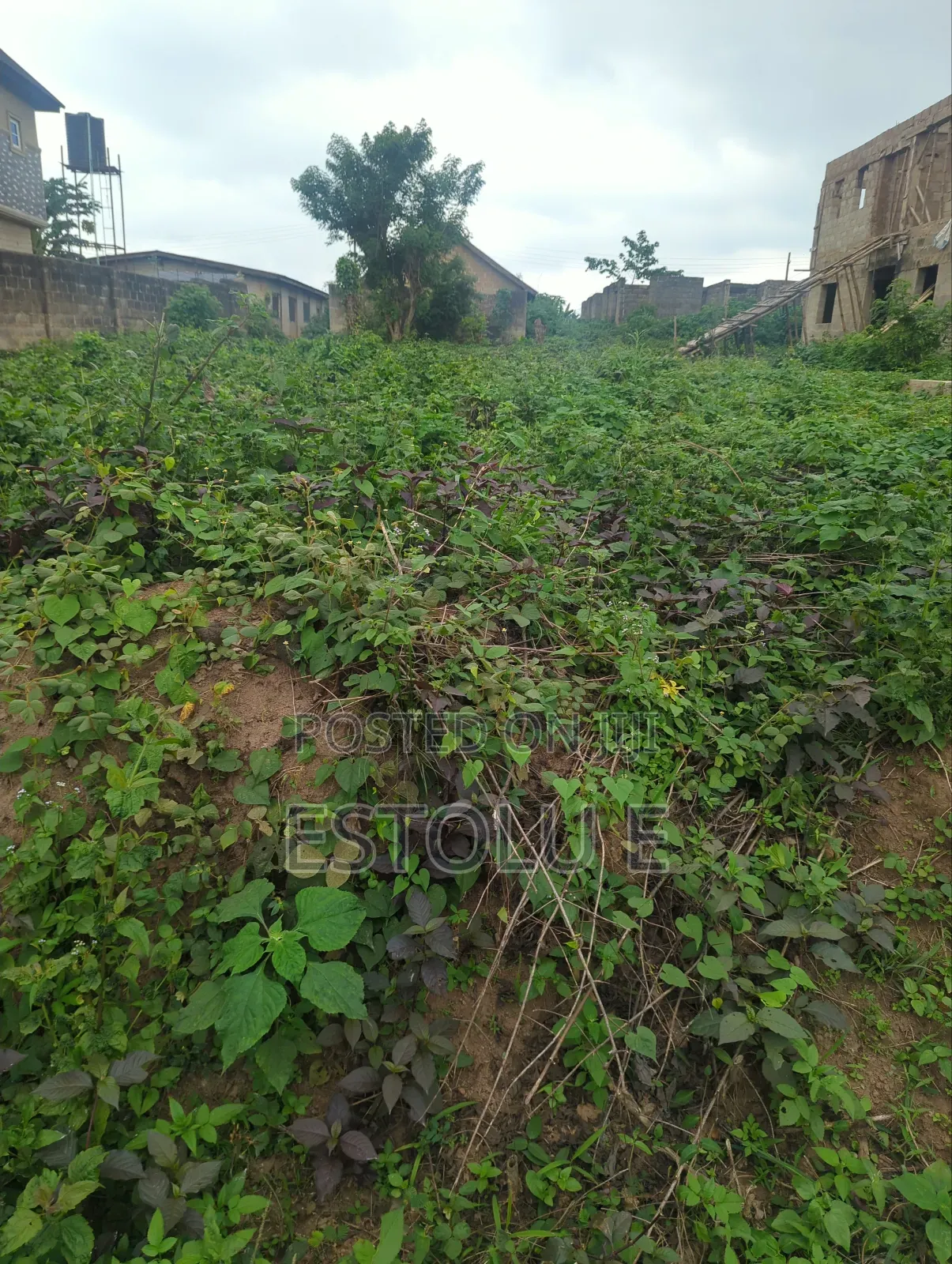 A Full Plot of Land for Sale