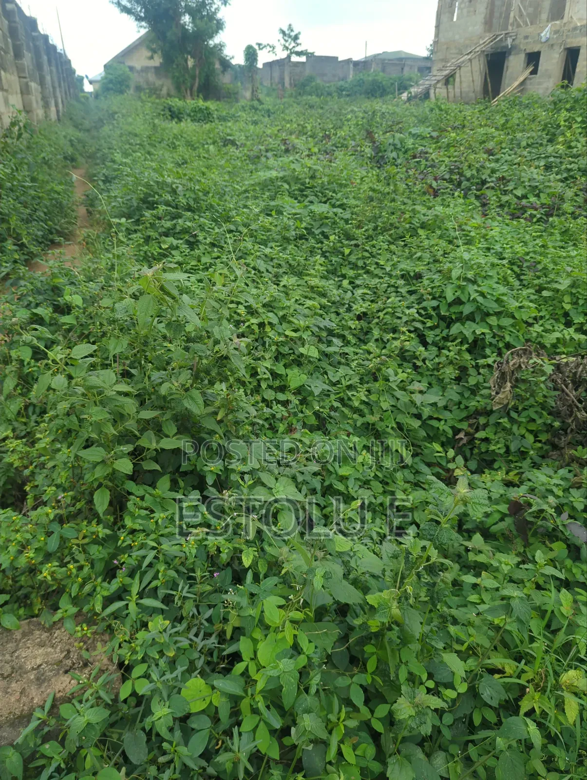 A Full Plot of Land for Sale