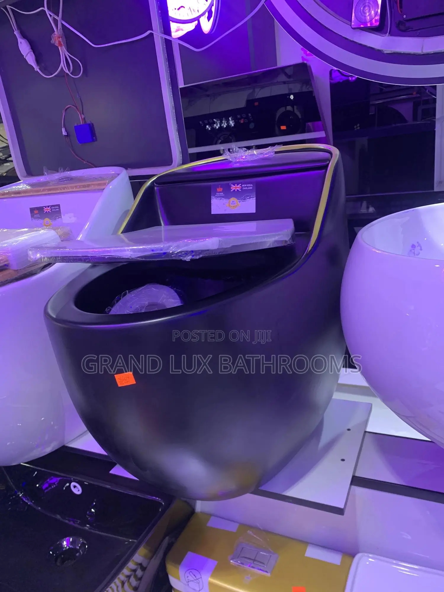 Luxury Egg Shape Inbuilt Tank Wc
