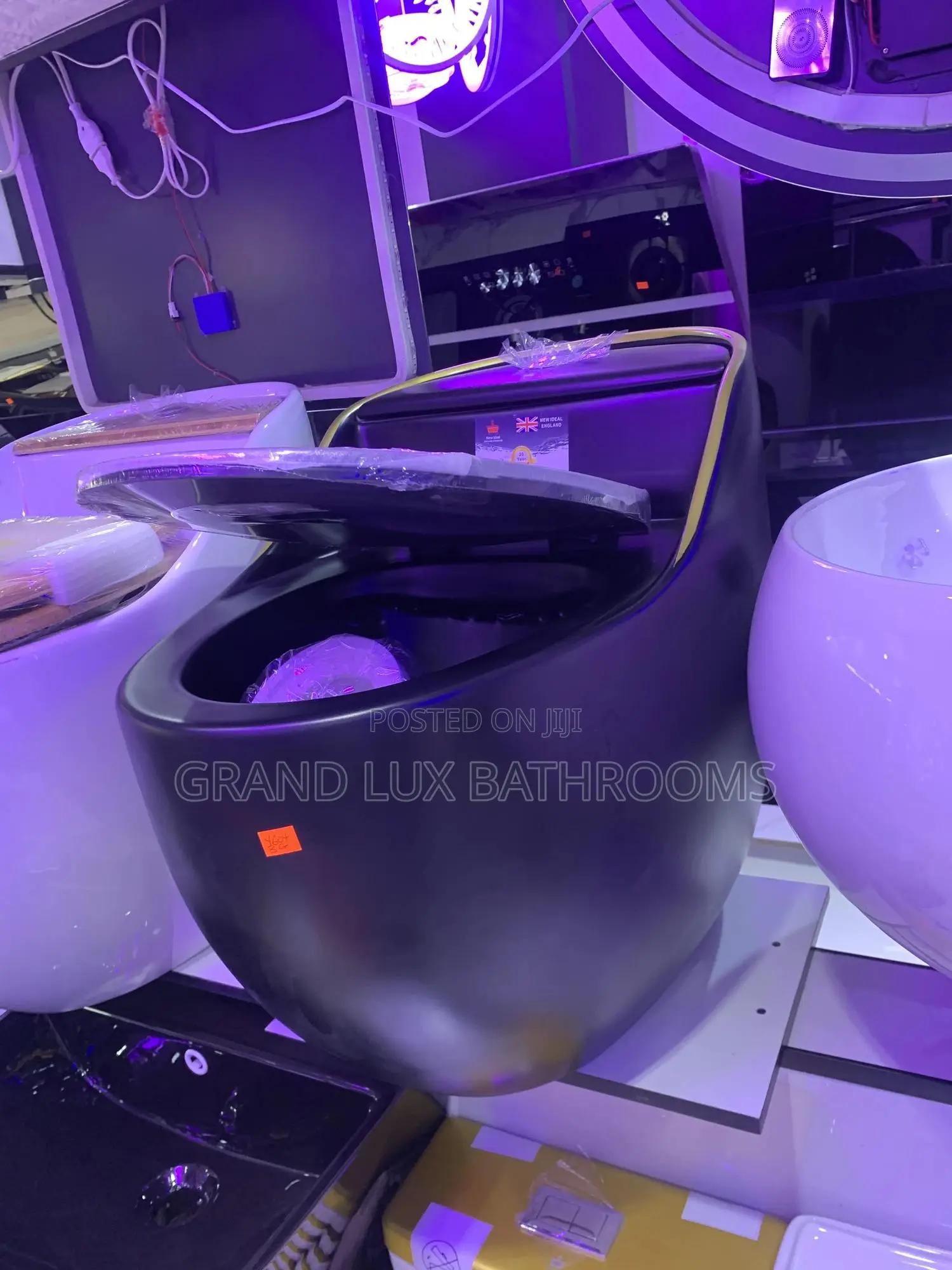 Luxury Egg Shape Inbuilt Tank Wc