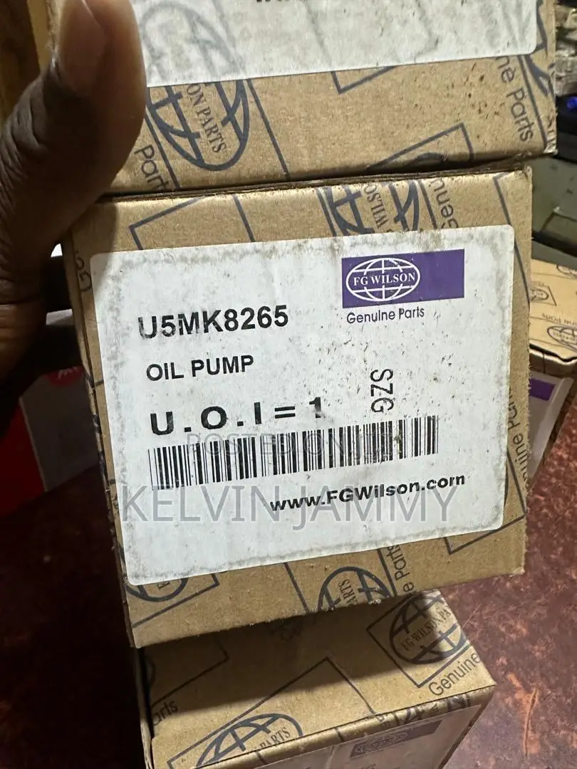 Oil Pump for Perkins Diesel Generator 400 Series Big/Small Shaft