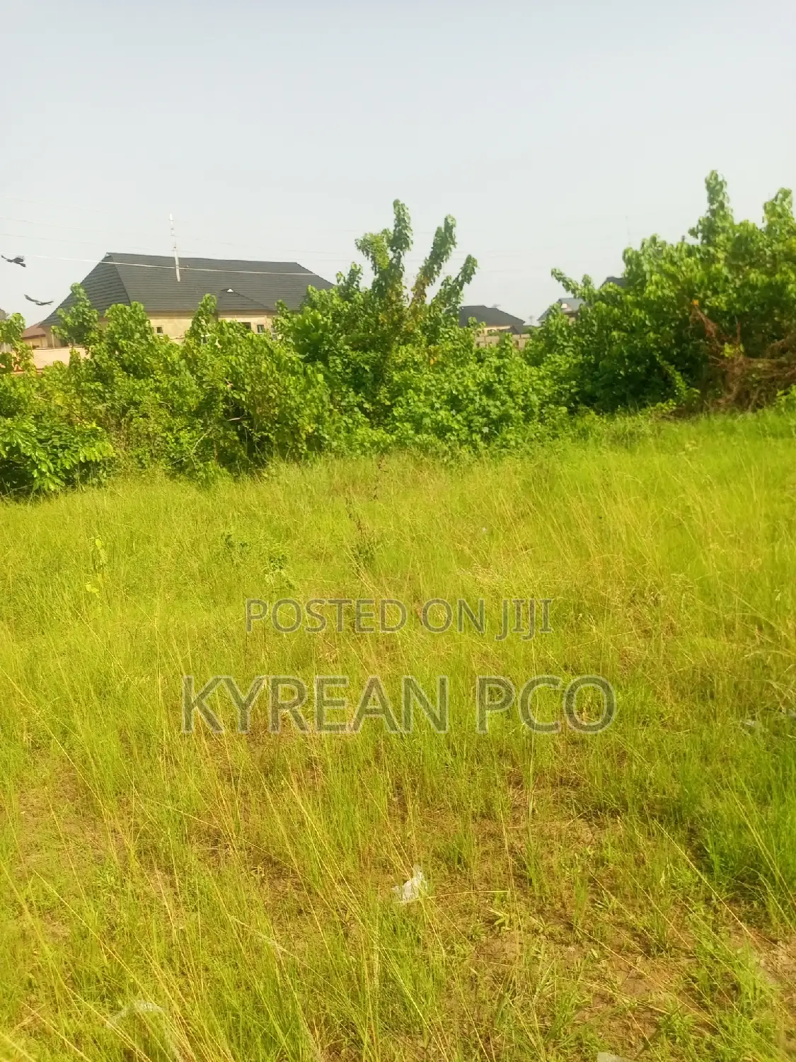 Plots at Nichemtex Estate