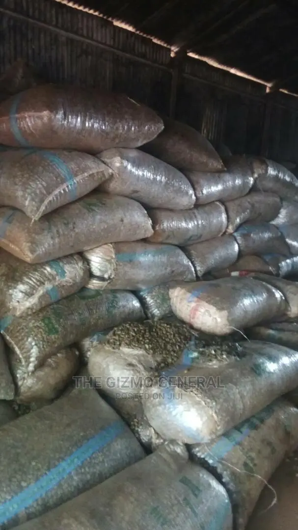 Raw Cashew Nuts in Tonnes (1,000kg) for Sale in Offa